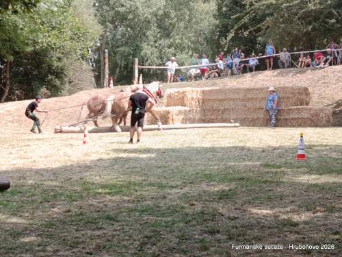 IMG_20260801_124550